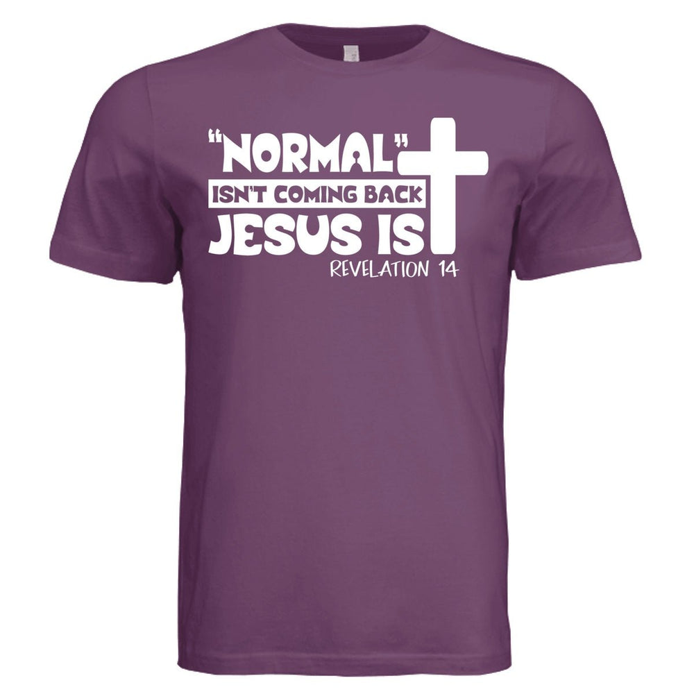 Hes Coming Back Unisex Tee - Stone & Sling