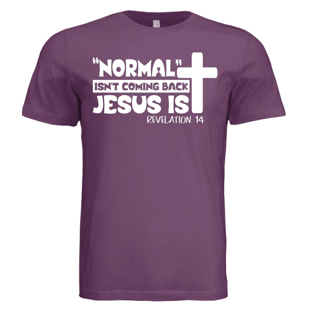 Hes Coming Back Unisex Tee - Stone & Sling