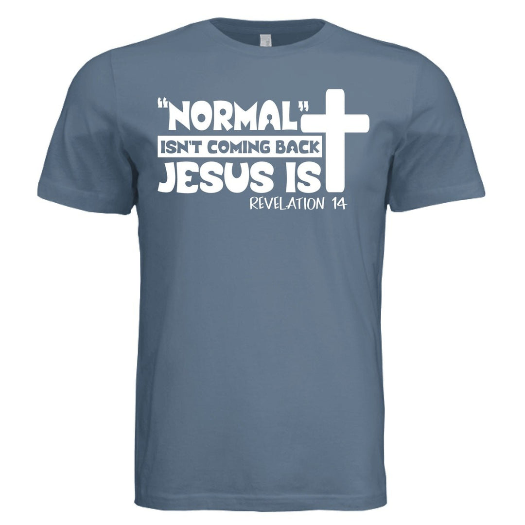 Hes Coming Back Unisex Tee - Stone & Sling