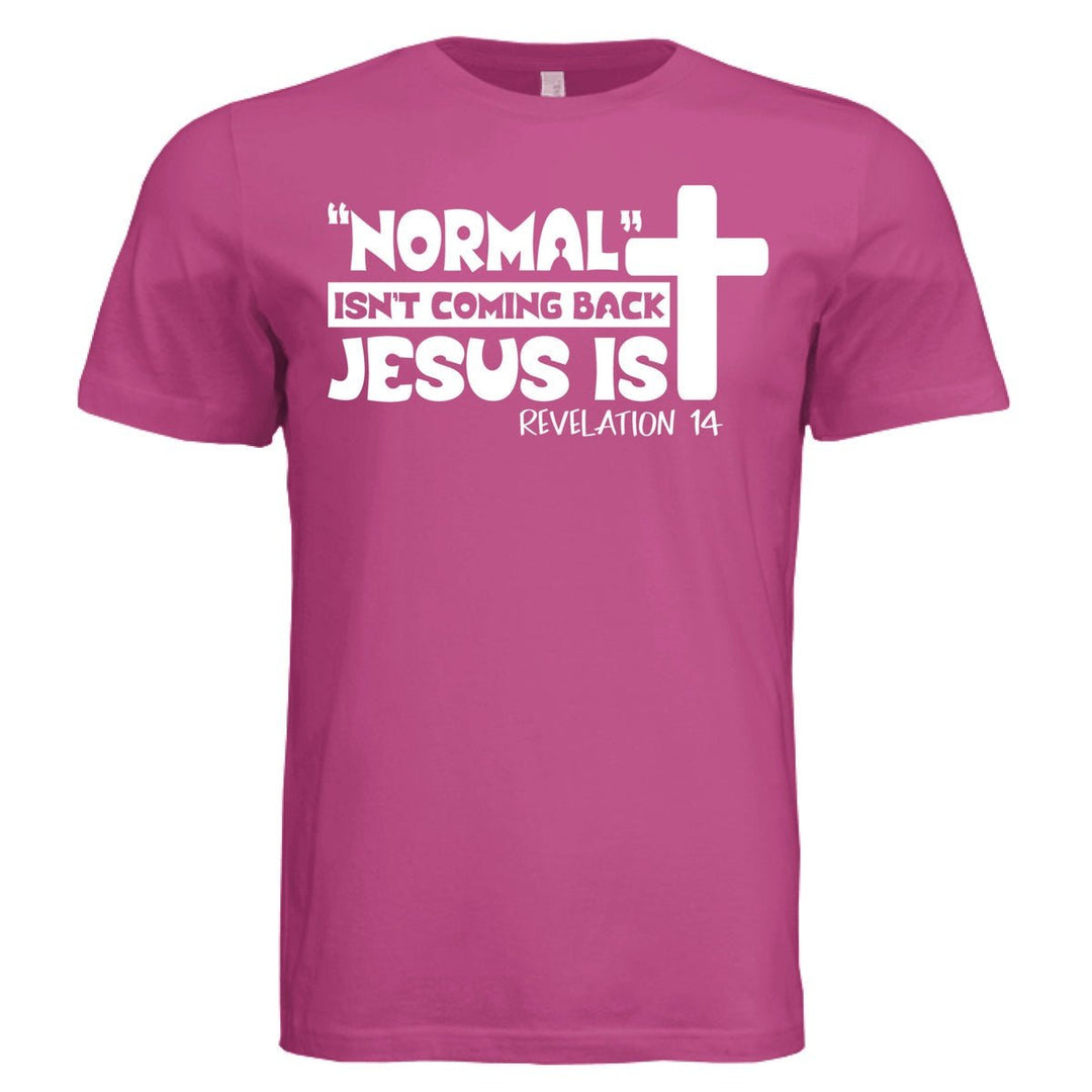 Hes Coming Back Unisex Tee - Stone & Sling