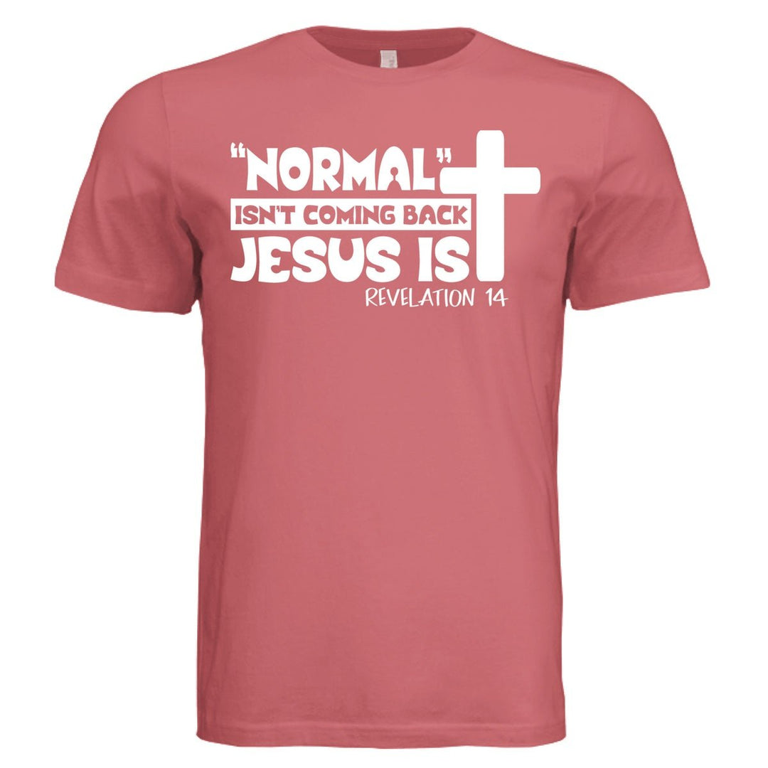 Hes Coming Back Unisex Tee - Stone & Sling