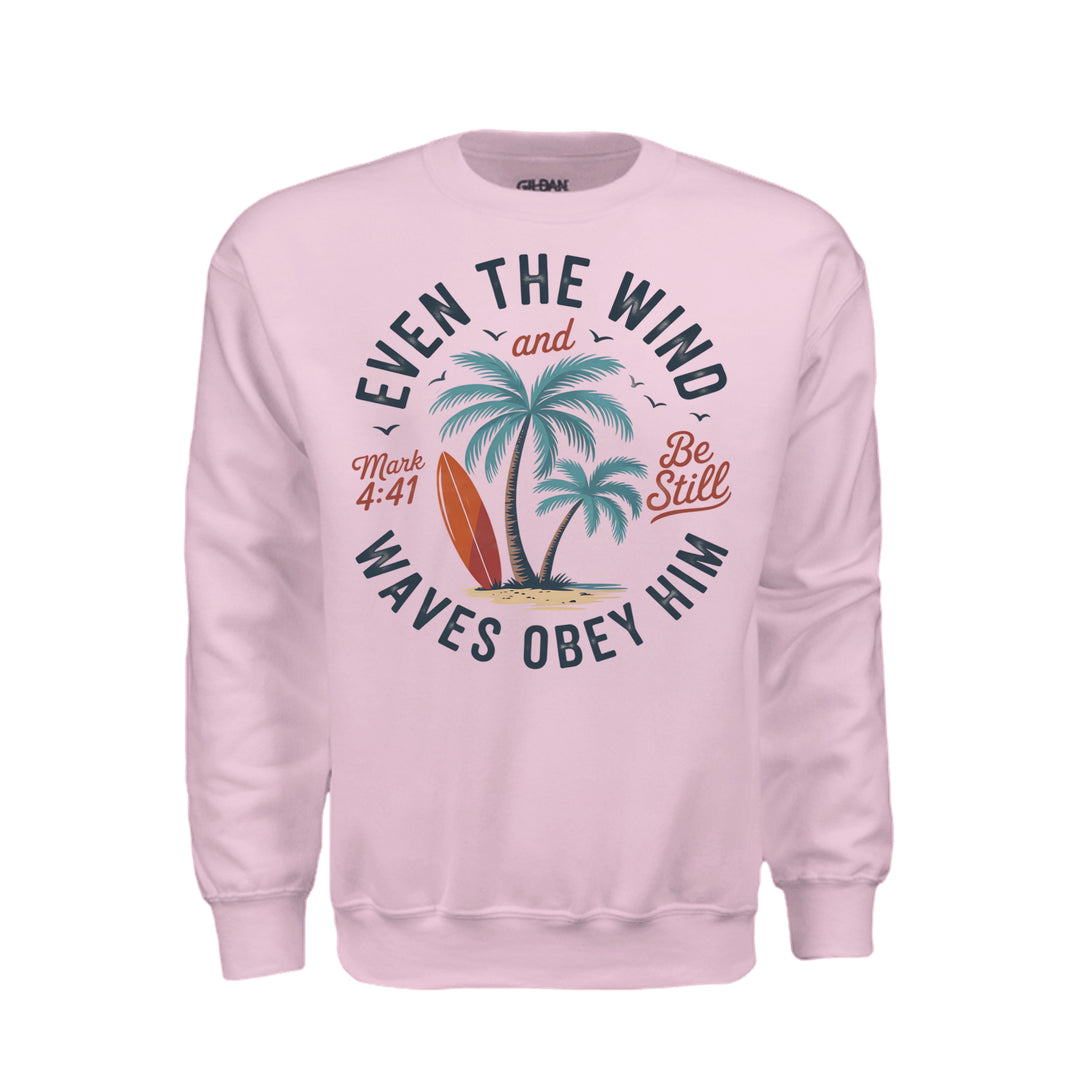 Wind & Waves Sweatshirt - Light Pink - Stone & Sling